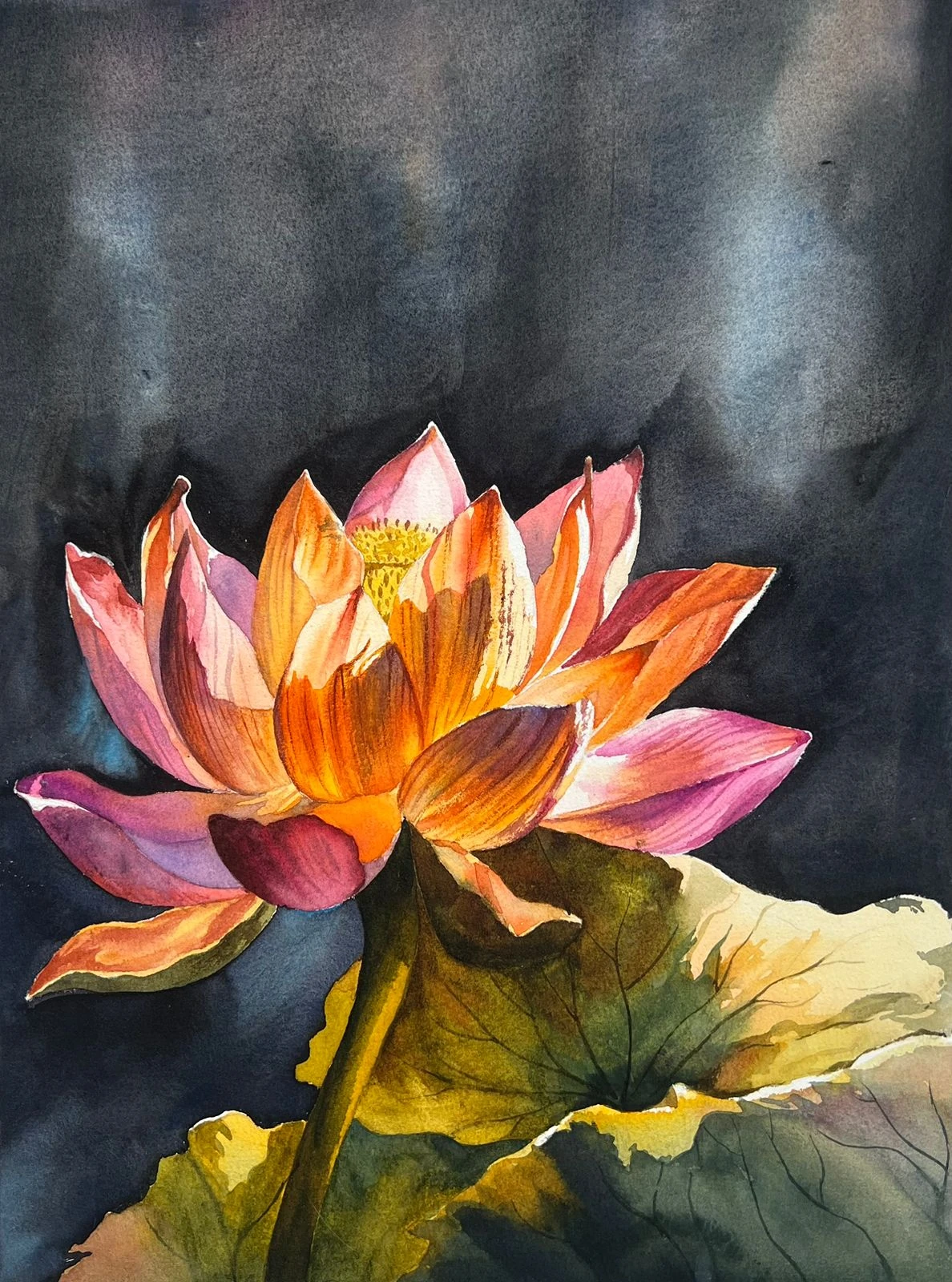 Lotus — watercolour on paper by Iqbal Hossion