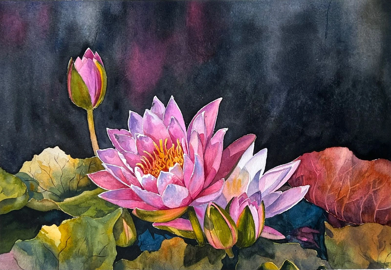 Shapla II — watercolour on paper by Iqbal Hossion